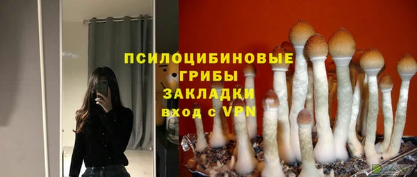 метадон Армянск